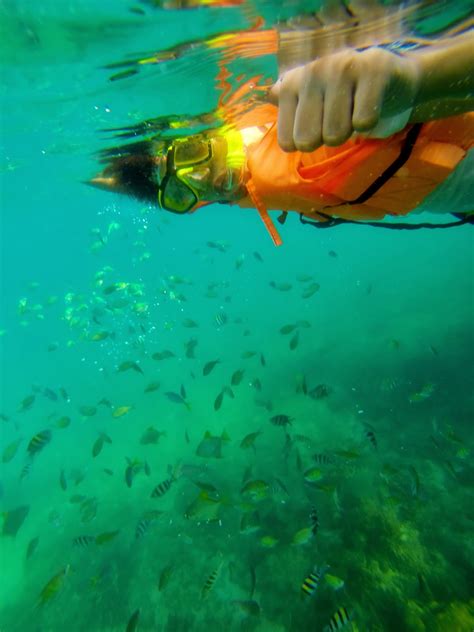 H E L L O ♥ K I M M Y : Snorkeling at Hundred Islands Coral Garden