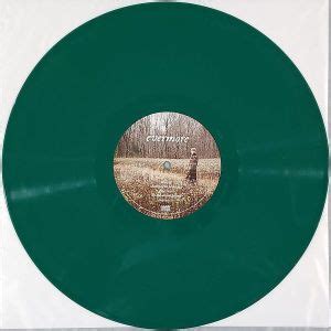 Taylor Swift - Evermore (Colored Vinyl 2LP) - Raw Music Store