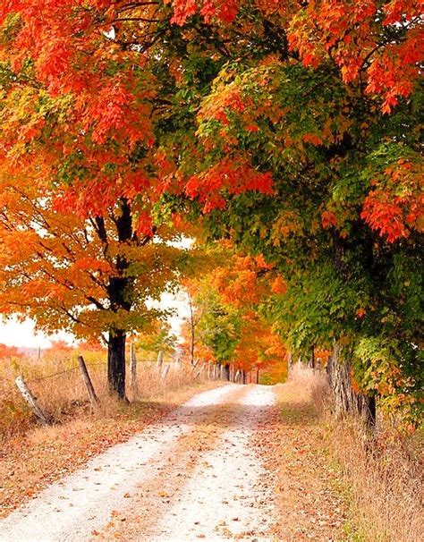 🇨🇦 Country road in autumn (Ontario) by Elliot Eskey #countryroad #path #ontario cr.🍂 | Autumn ...