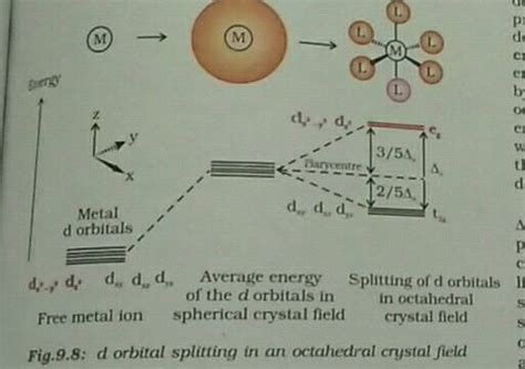 Draw figure to show the splitting of d orbitals in an octahedral crystal field.