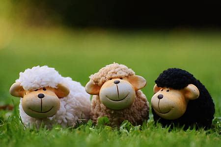 Royalty-Free photo: Herd of sheep | PickPik