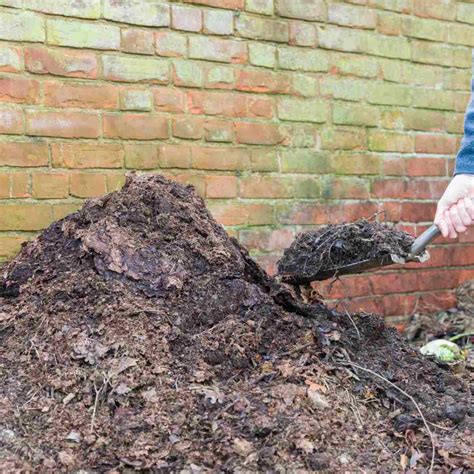 Turning a Compost Pile Easily with these Tips and Tricks