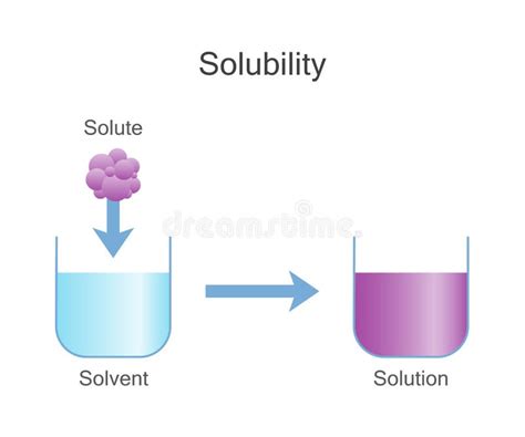 Sólidos De Disolución Química De La Solubilidad Ilustración del Vector - Ilustración de mezcla ...