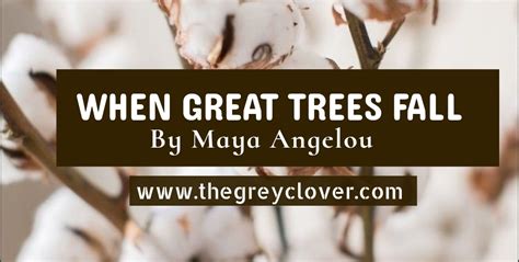 When great trees fall: poem of the day – The grey clover