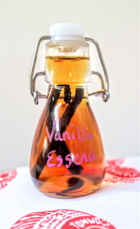 Vanilla Essence · How To Make An Extract · Recipes on Cut Out + Keep