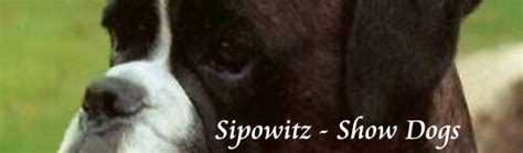 Sipowitz Show Dogs