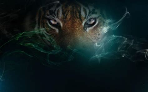 Black Tiger Wallpapers - Wallpaper Cave