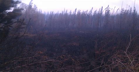 Calmer Winds Slow Growth Of Minnesota Wildfire - CBS Minnesota