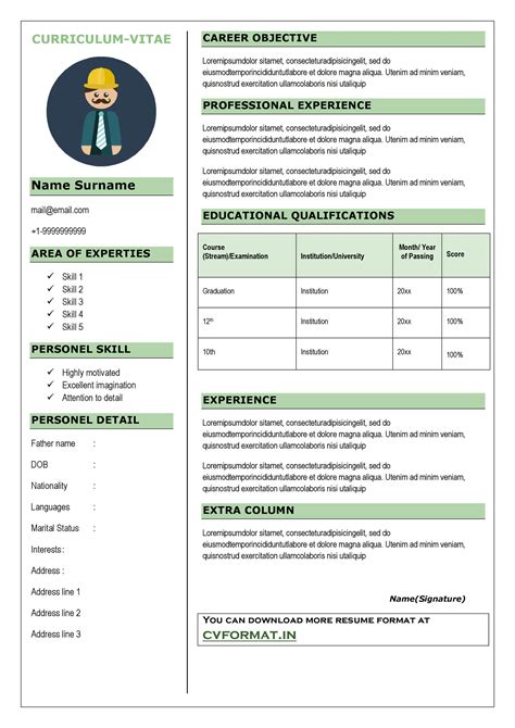 Curriculum Vitae Format - Cv Template For Ms Word Professional Resume ...