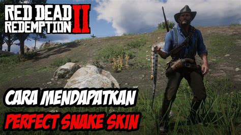 RDR2 | TIPS RDR2 | MENDAPATKAN PERFECT SNAKE SKIN - YouTube