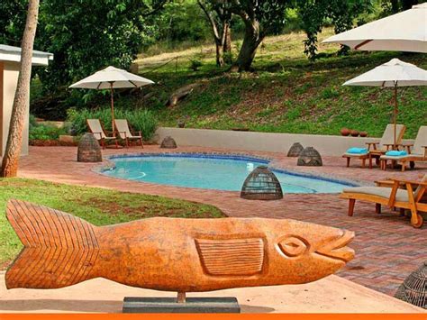 Madi a Thavha Mountain Lodge Pool: Pictures & Reviews - Tripadvisor