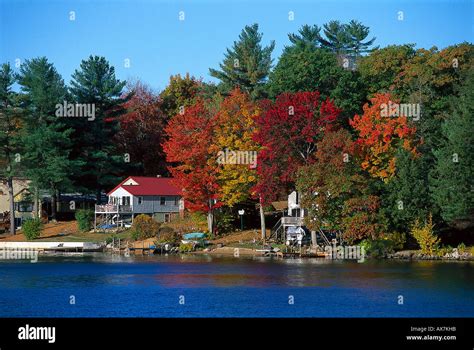 Indian Summer, Northwood Lake, New Hampshire USA Stock Photo: 9574746 ...