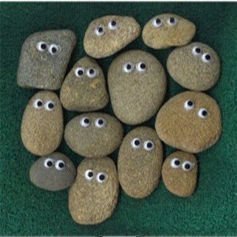 Googly eye pebbles | Pet rocks, Googly eyes, Rock crafts