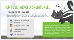 How Do U Get Rid Of Skunk Smell On Dogs