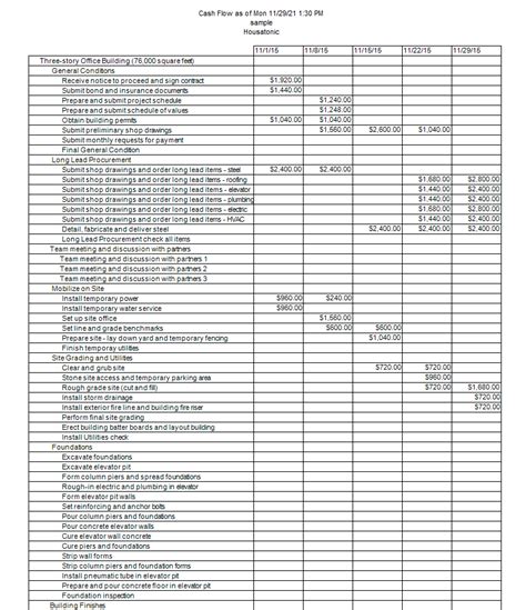 Cash Flow Report - Project Plan 365