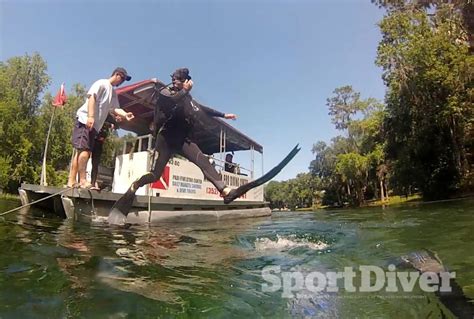 Drift Diving Florida's Rainbow River [Video] | Rainbow river, Diving, What is like