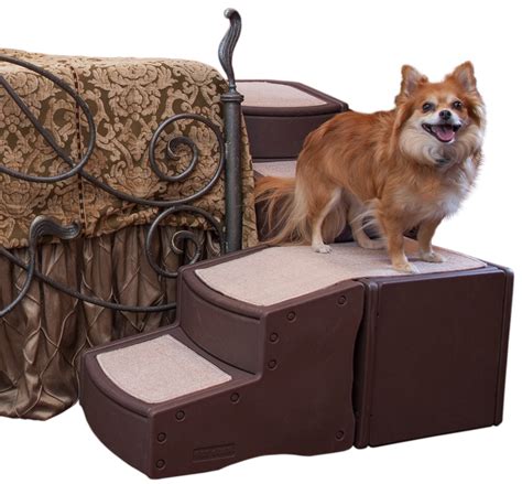 Pet Gear Easy Step Bed Stair for Cats/Dogs with Storage Compartment ...