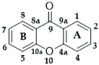 Basic structure of xanthones. | Download Scientific Diagram