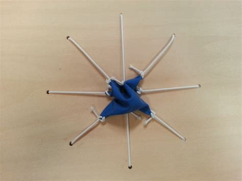 Mechanism of Chromatophores | Architecture