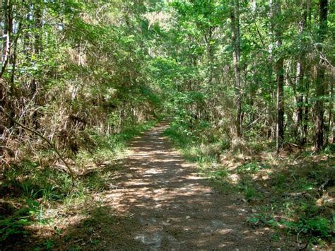 Northlake Nature Center (Mandeville) - 2021 All You Need to Know BEFORE You Go (with Photos ...