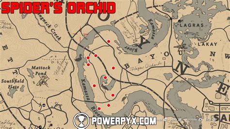 Red Dead Redemption 2 All Exotics Locations