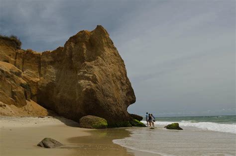 The Vineyard Gazette - Martha's Vineyard News | Erosion on Chilmark ...