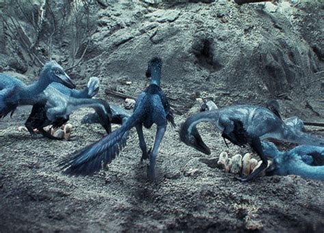 DinoGoss: Iridescence in Simple Feathers - The Case of the Blue Troodon