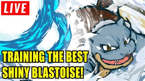 I am Training the BEST Blastoise Ever for Pokemon VGC! - YouTube