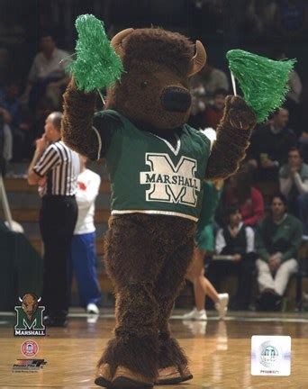 Marco - Marshall University Thundering Herd Mascot Fine Art Print by Unknown at FulcrumGallery.com