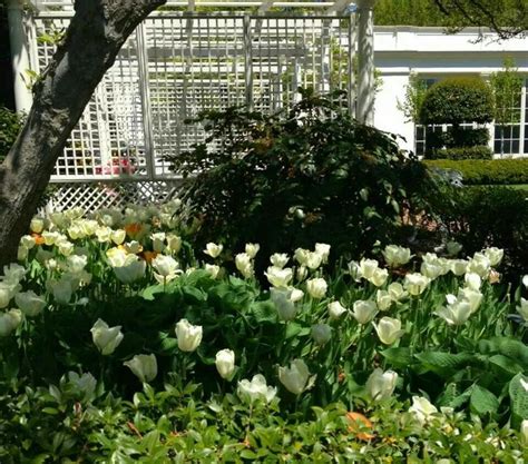 White House gardens | White house garden, Home and garden, White house