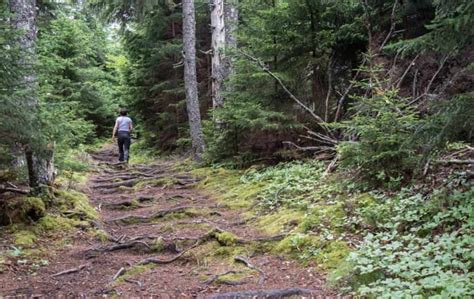 Fundy National Park Camping Guide