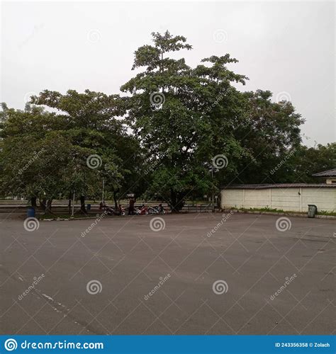 Parking Lot on a Field Trip Stock Photo - Image of lane, plant: 243356358