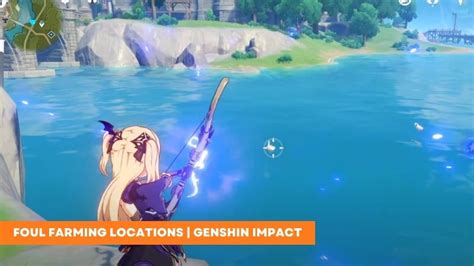 Fowl Farming Locations in Genshin Impact | Respawn Island