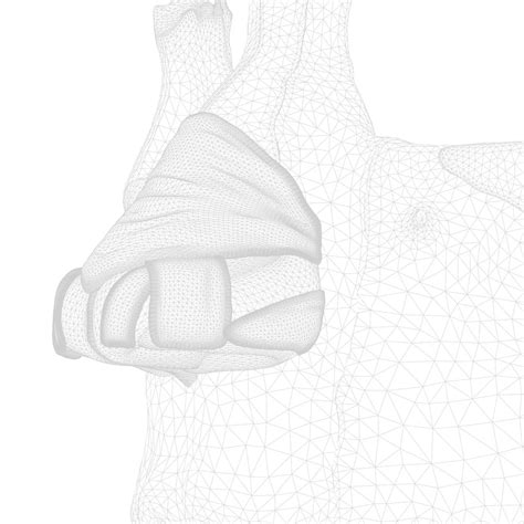 3D Nasal Human Anatomy Structure - TurboSquid 1831679