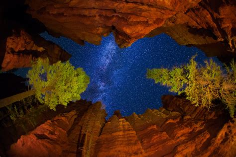 HD wallpaper united states utah national park bryce canyon night sky star milky way rock tree