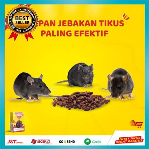 Jual Racun Tikus Ramtus - Umpan Jebakan Tikus Paling Efektif - 50 Gram Indonesia|Shopee Indonesia