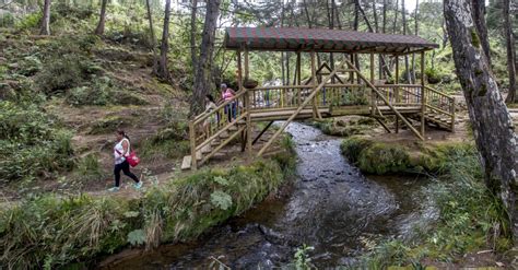 El Parque Arví, entre los tres mejores destinos turísticos sostenibles del mundo