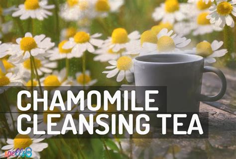 Chamomile Tea Meditation: Cleanse & Purify – Spells8