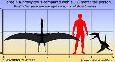 Top 10 Standout Pterosaurs | Prehistoric wildlife, Megafauna, Prehistoric