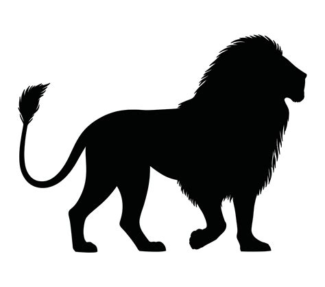 African Lion. Vector image. White background. 37368420 Vector Art at ...