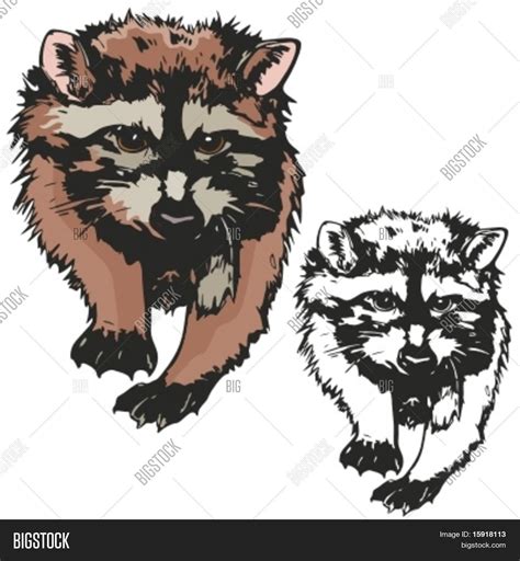 Badger Mascot Sport Vector & Photo (Free Trial) | Bigstock