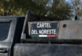 TRAC Profile: Cartel del Noreste / The Northeastern Cartel (CDN)