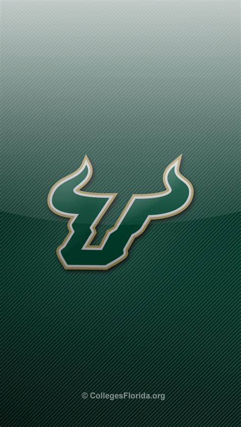 🔥 [50+] USF Bulls Wallpapers | WallpaperSafari