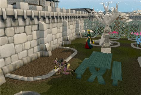 Runescape Garden Of Tranquility Quick Guide | Fasci Garden