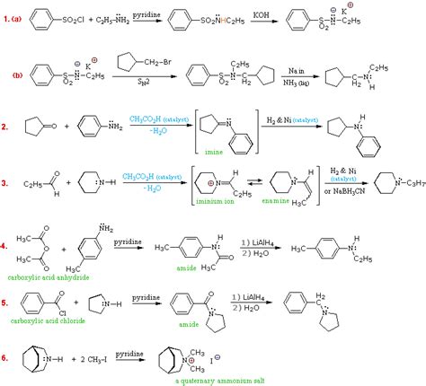 Amine Reactivity | Organic chemistry, Organic chemistry books, Organic chemistry study