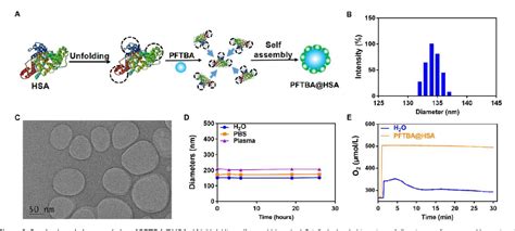 Figure 1 from Two-stage oxygen delivery for enhanced radiotherapy by perfluorocarbon ...