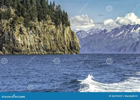 Wildlife Cruise Around Resurrection Bay Stock Image - Image of ocean, outdoors: 36473423