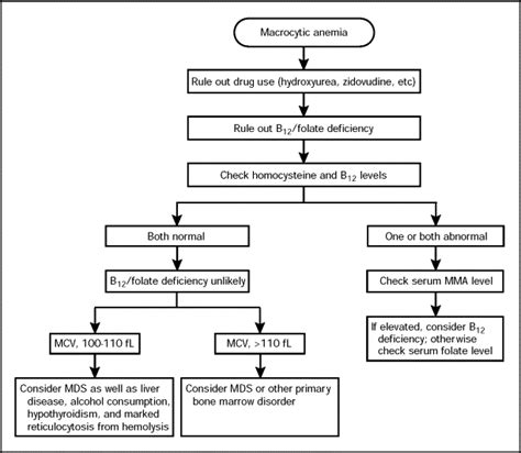 Non Megaloblastic Anemia