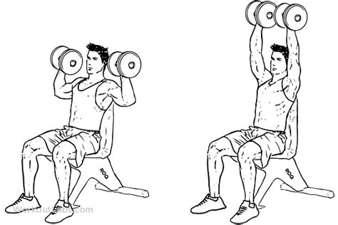 Dumbbell Overhead Shoulder Press | Illustrated Exercise guide - WorkoutLabs