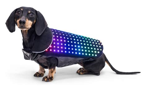 Disco Dog LED Dog Vest #WearableWednesday « Adafruit Industries – Makers, hackers, artists ...